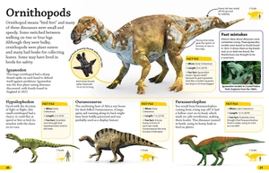 dkfindout! dinosaurs - Ảnh 5