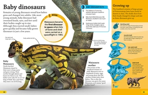 dkfindout! dinosaurs - Ảnh 6