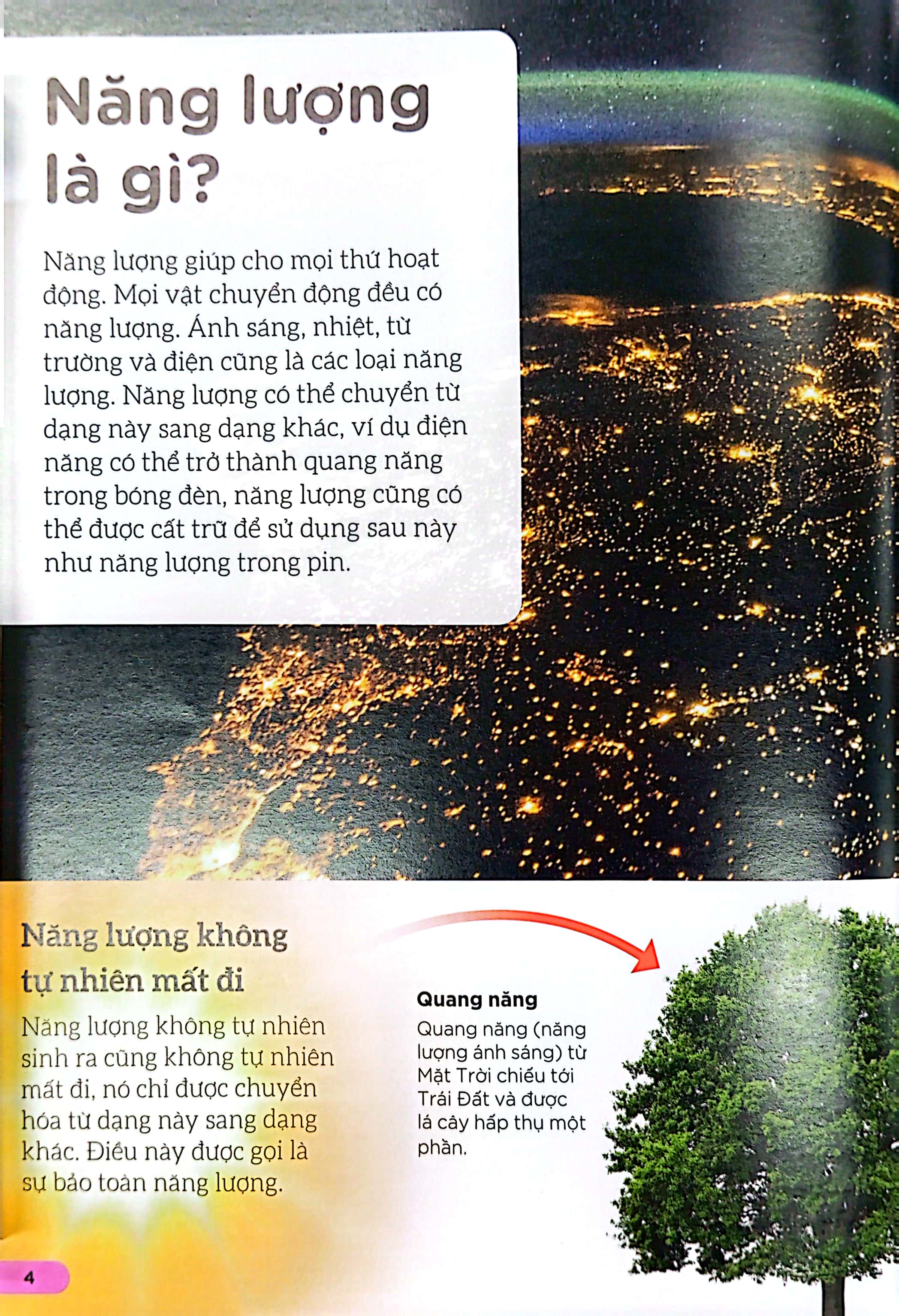 dkfindout - những điều sách giáo khoa không dạy bạn - năng lượng - Ảnh 5