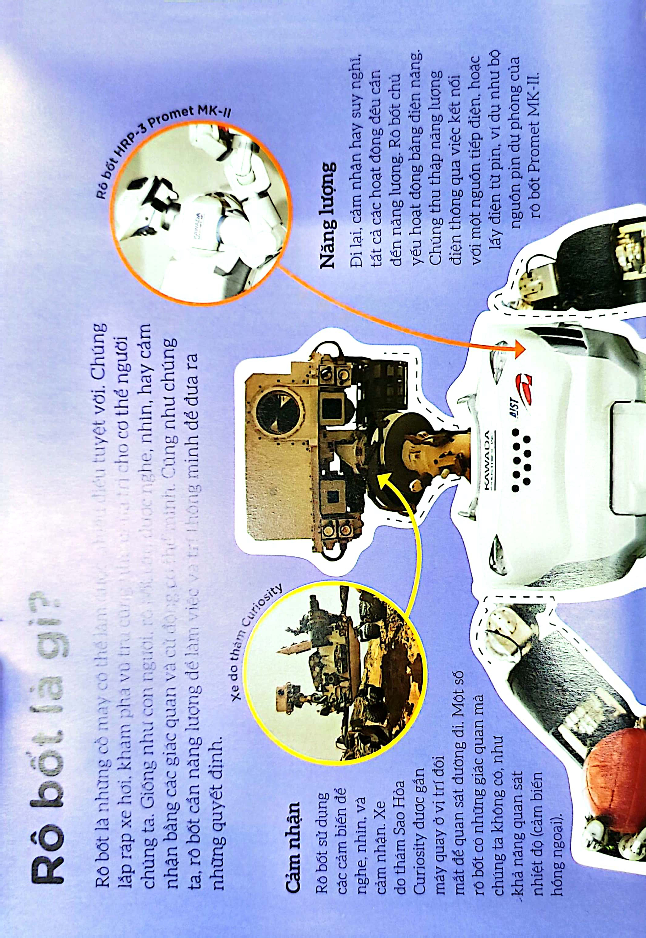 dkfindout - những điều sách giáo khoa không dạy bạn - rô bốt - Ảnh 5