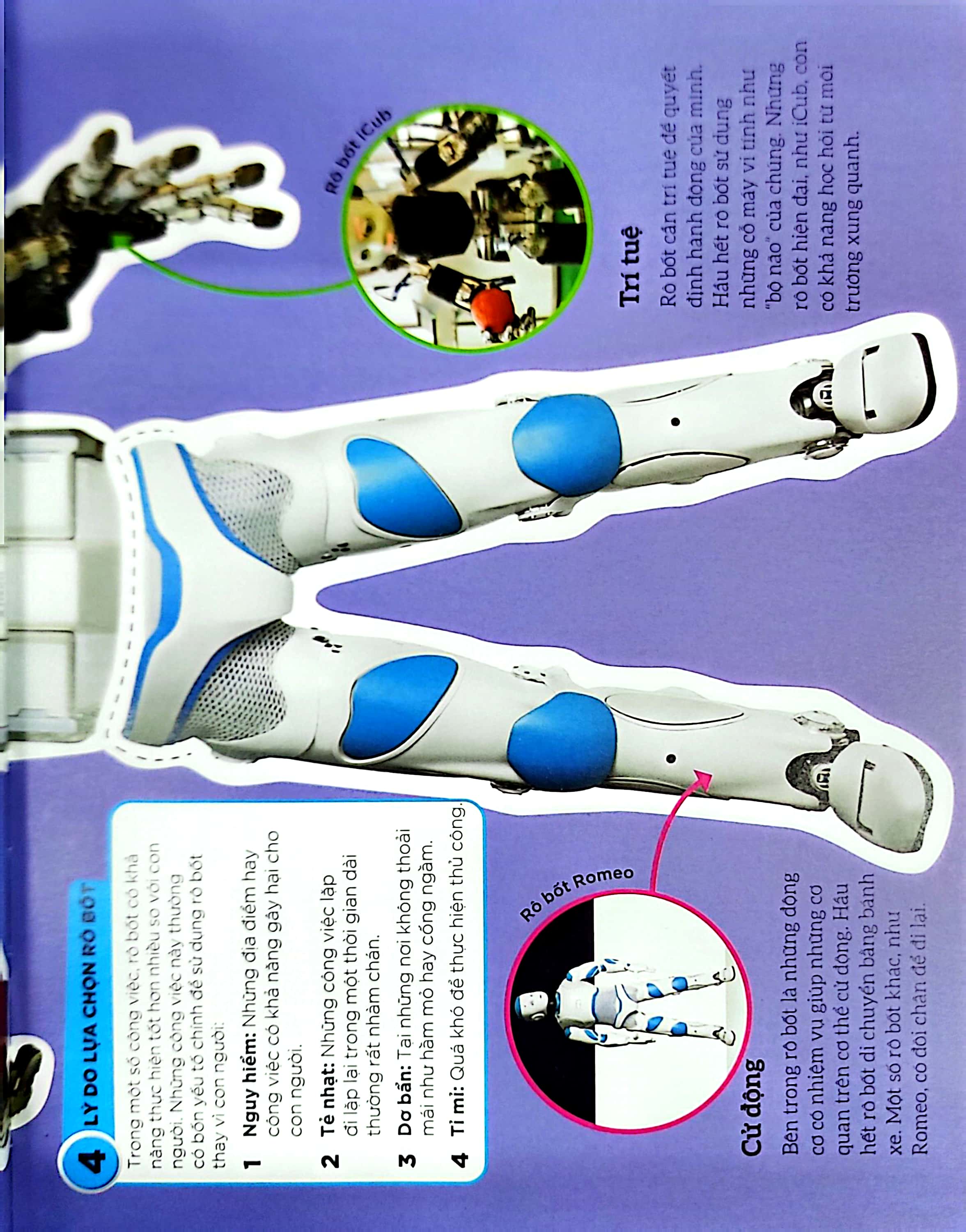 dkfindout - những điều sách giáo khoa không dạy bạn - rô bốt - Ảnh 6