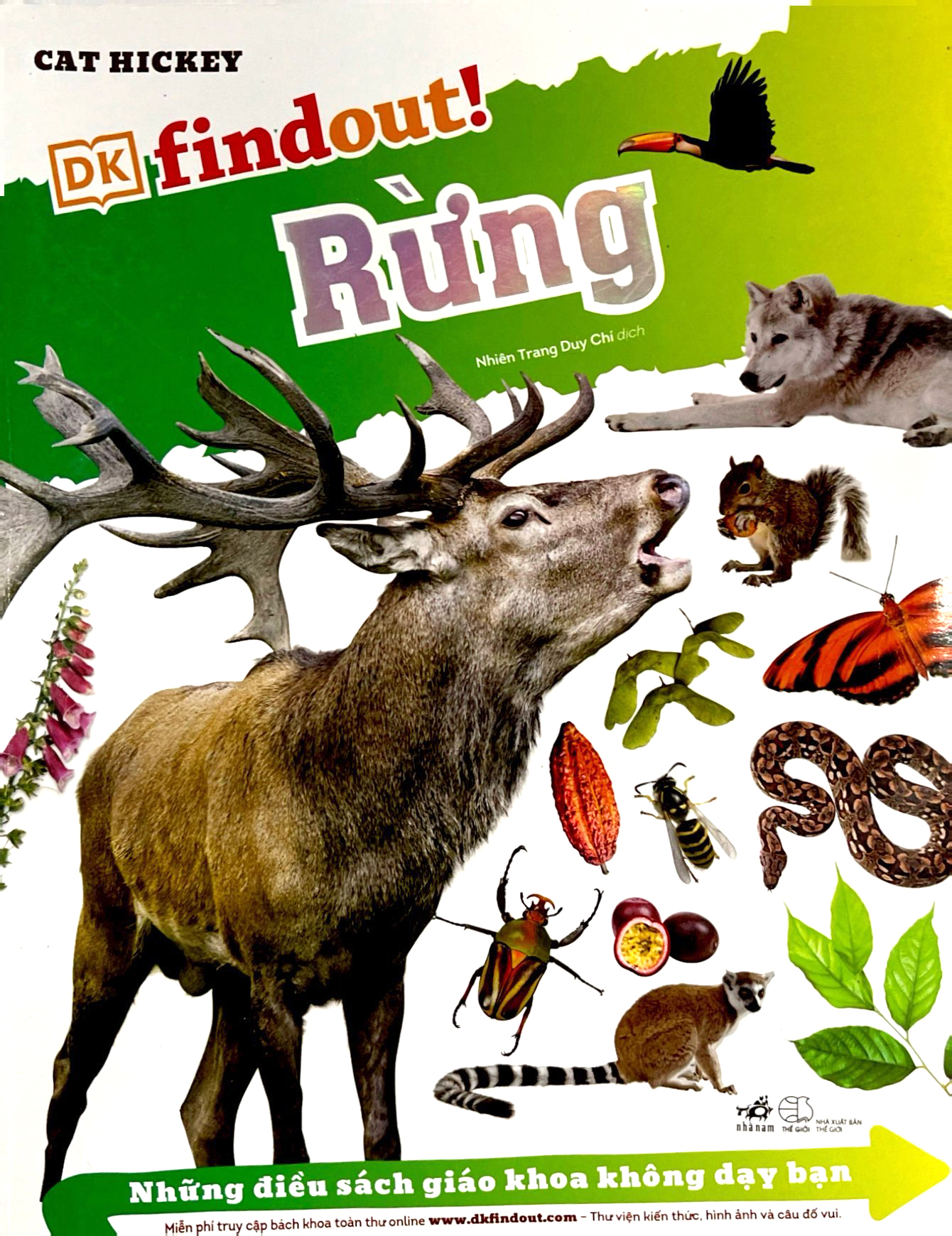 dkfindout - những điều sách giáo khoa không dạy bạn - rừng - Ảnh 2