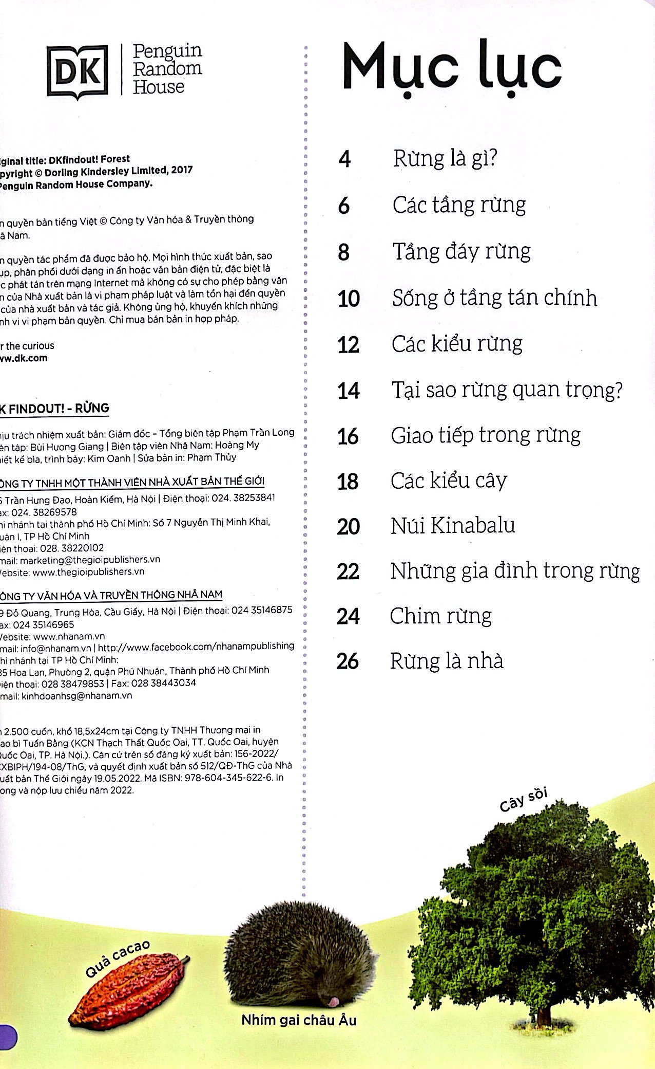 dkfindout - những điều sách giáo khoa không dạy bạn - rừng - Ảnh 3