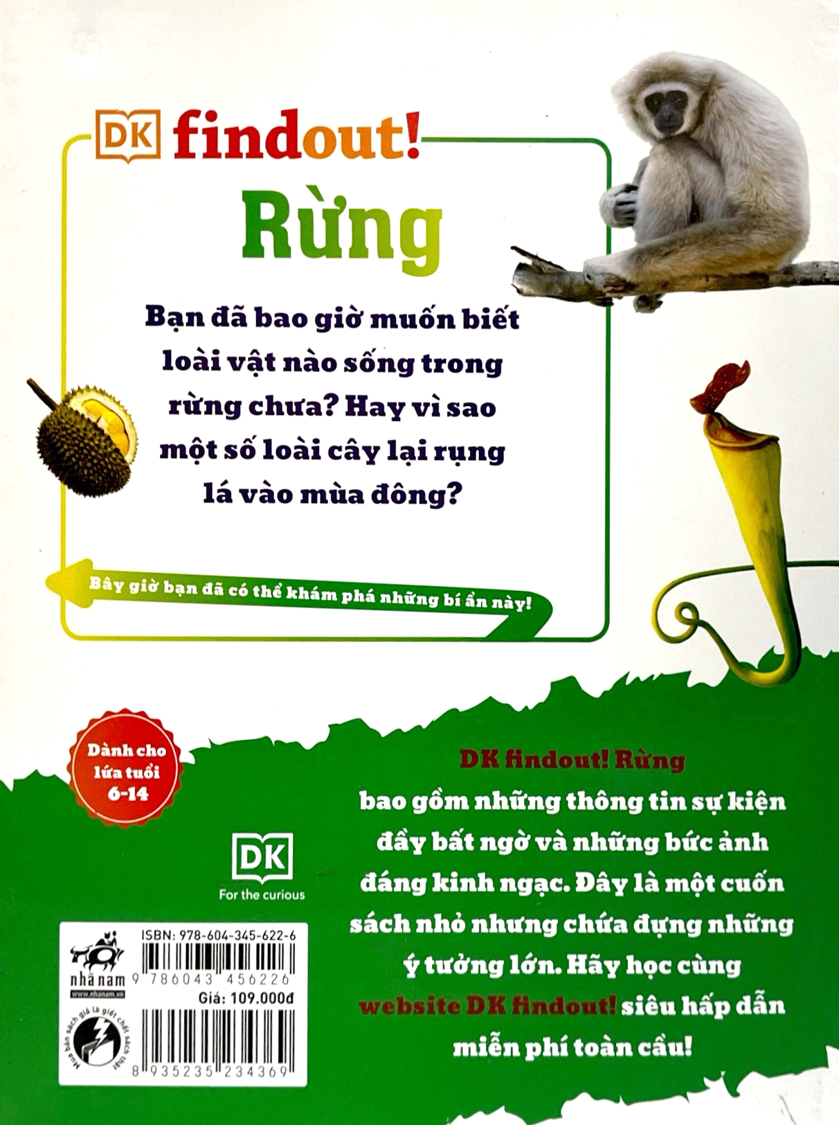 dkfindout - những điều sách giáo khoa không dạy bạn - rừng - Ảnh 9