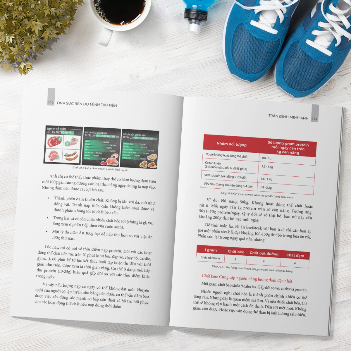 dna sức bền do mình tạo nên - Ảnh 7