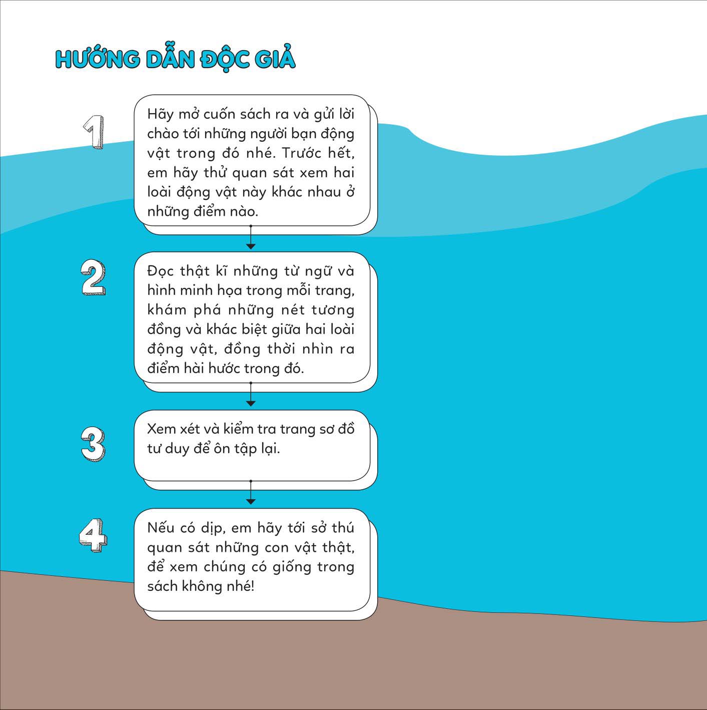 đố em phân biệt! - bạch tuộc và mực - Ảnh 2