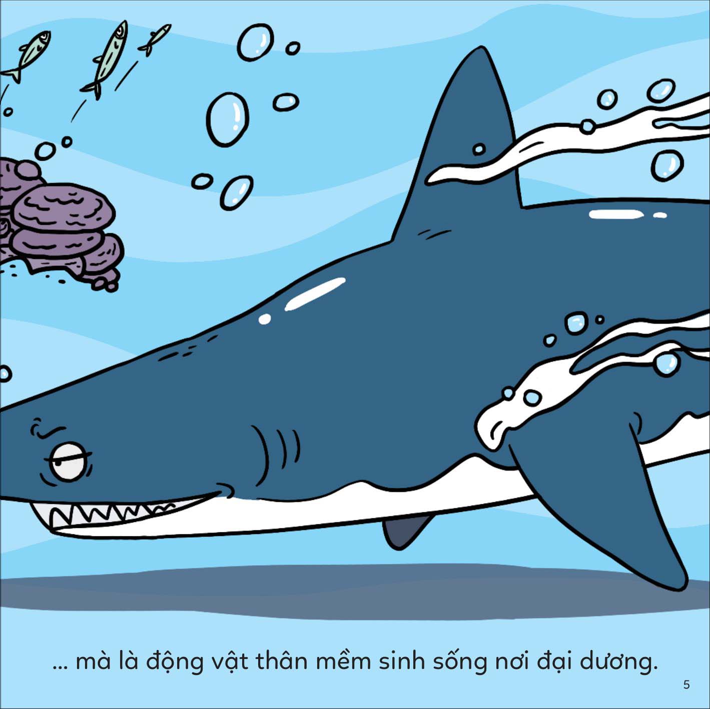 đố em phân biệt! - bạch tuộc và mực - Ảnh 5