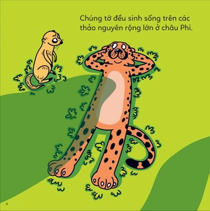 đố em phân biệt! - báo săn và báo hoa - Ảnh 4