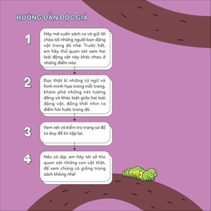 đố em phân biệt! - bướm và bướm đêm - Ảnh 2