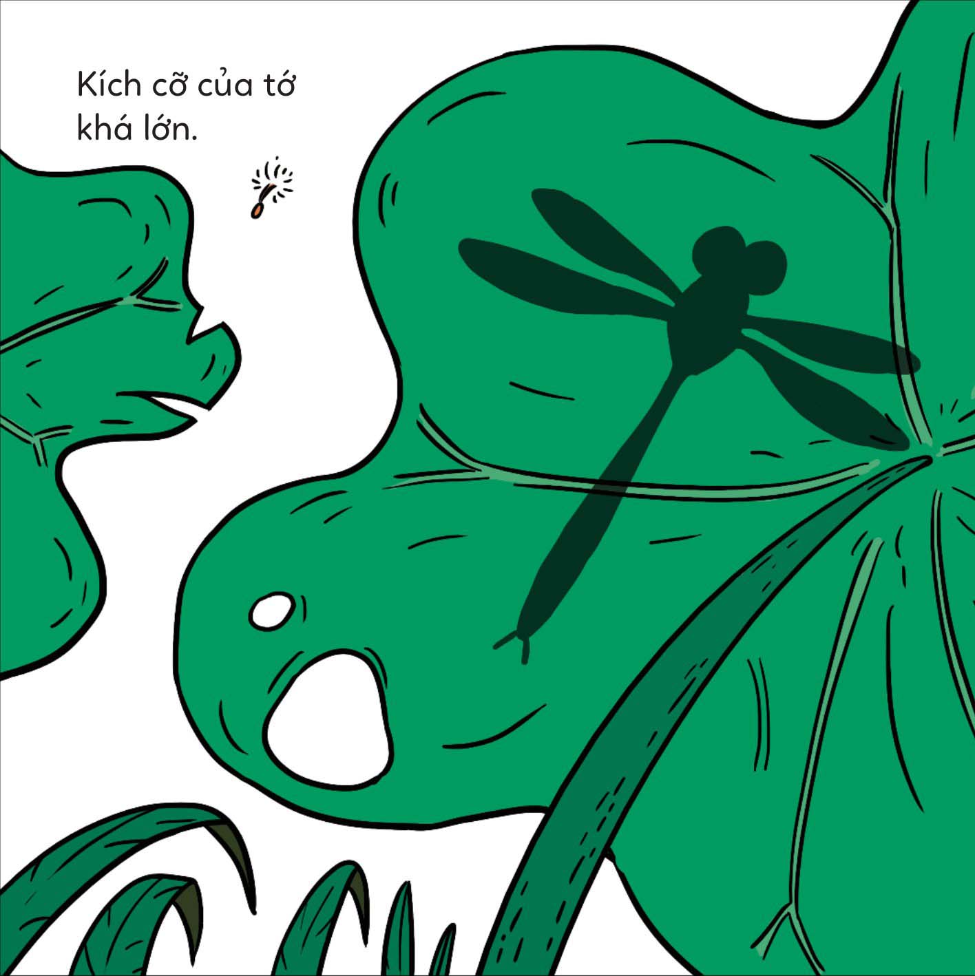 đố em phân biệt! - chuồn chuồn và chuồn chuồn kim - Ảnh 4