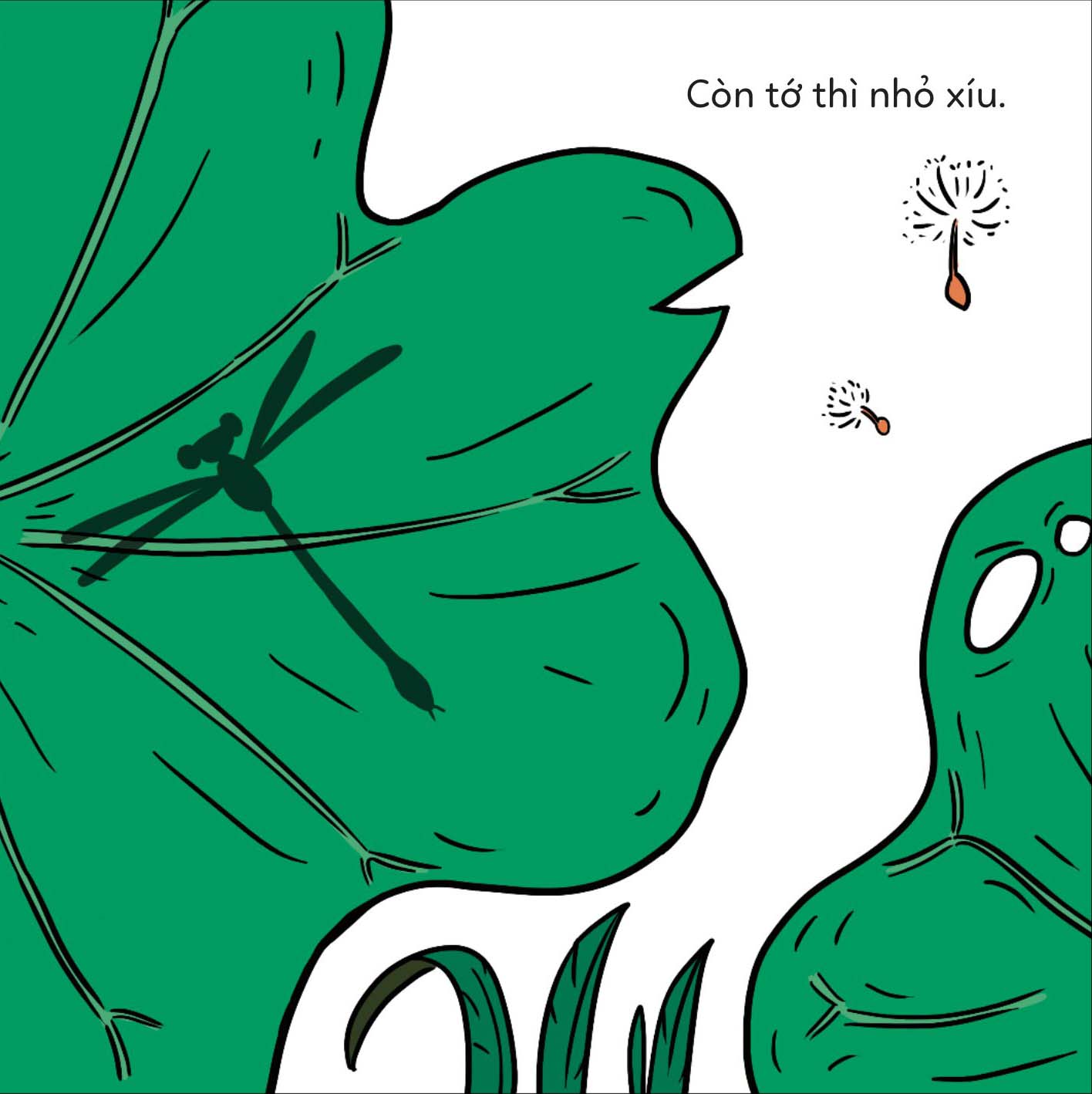 đố em phân biệt! - chuồn chuồn và chuồn chuồn kim - Ảnh 5