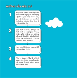 đố em phân biệt! - gấu trúc đỏ và gấu mèo - Ảnh 2