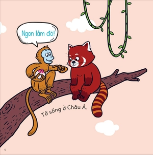 đố em phân biệt! - gấu trúc đỏ và gấu mèo - Ảnh 4