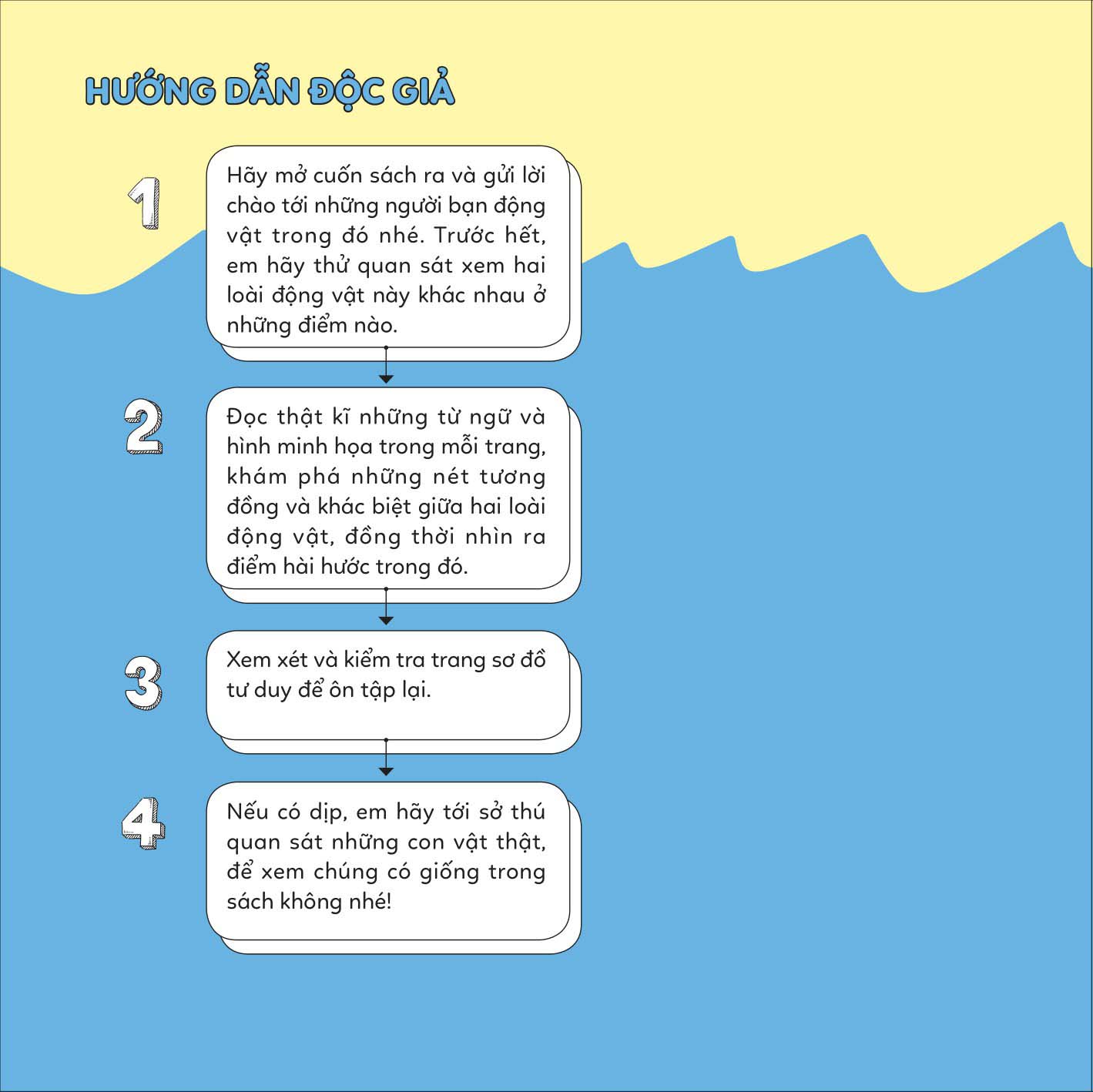 đố em phân biệt! - sư tử biển và hải cẩu - Ảnh 2