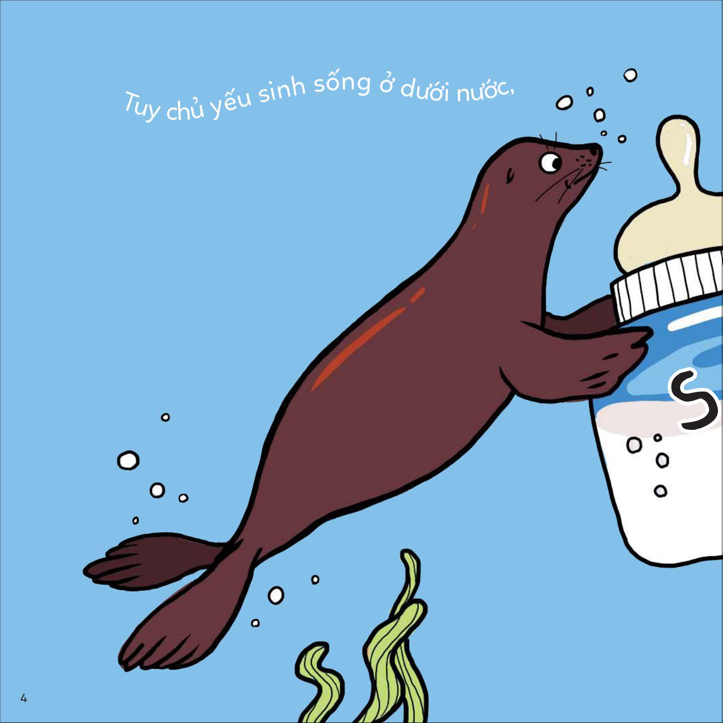 đố em phân biệt! - sư tử biển và hải cẩu - Ảnh 4