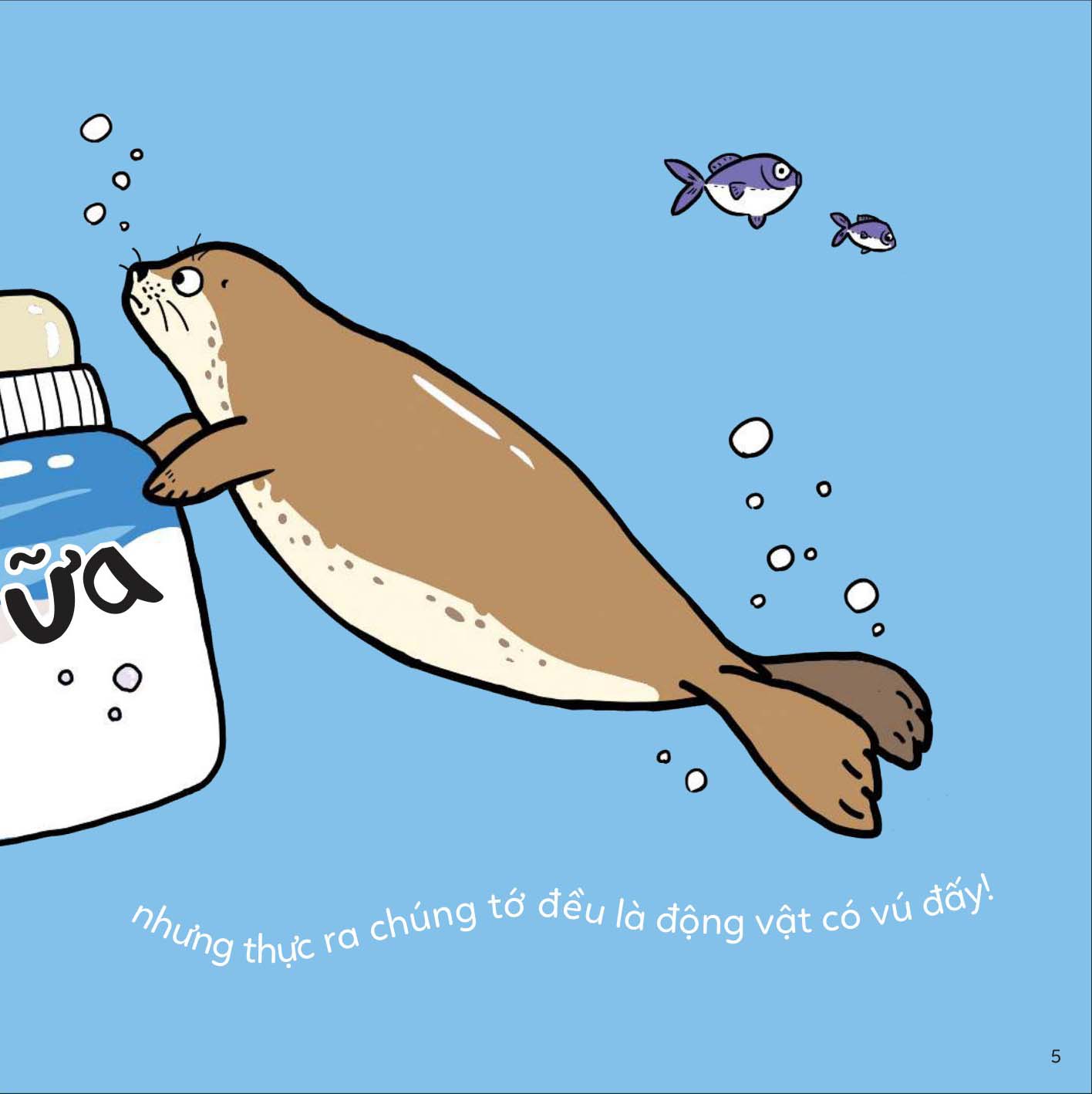 đố em phân biệt! - sư tử biển và hải cẩu - Ảnh 5