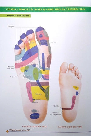 đồ giải huyệt vị cơ thể - Ảnh 5