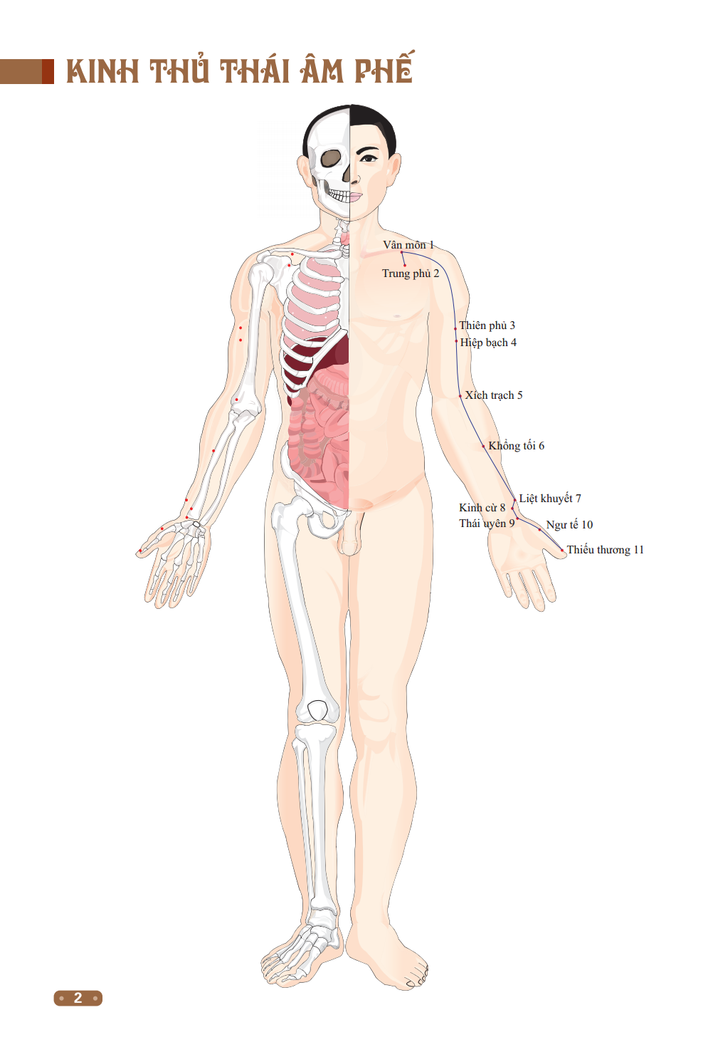 đồ giải kinh lạc huyệt vị cơ thể (tái bản 2023) - Ảnh 3