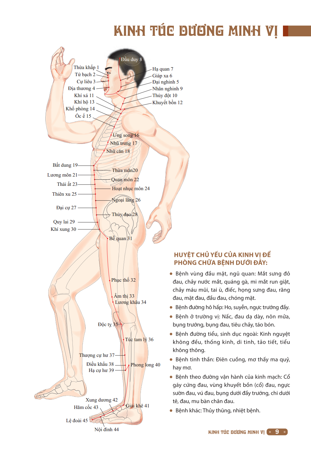 đồ giải kinh lạc huyệt vị cơ thể (tái bản 2023) - Ảnh 6