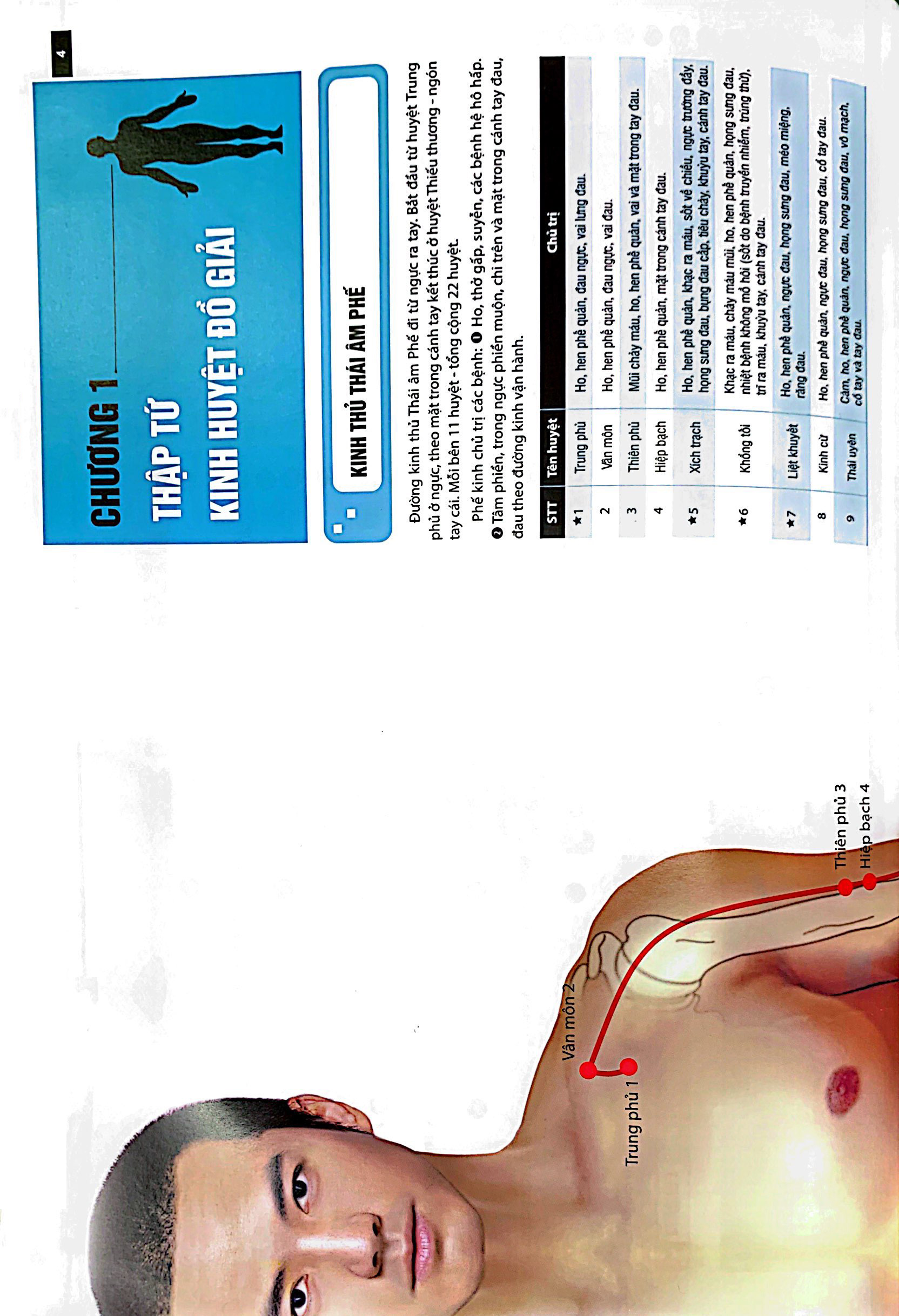 đồ giải kinh lạc huyệt vị - nam giới (tái bản 2023 ) - Ảnh 4