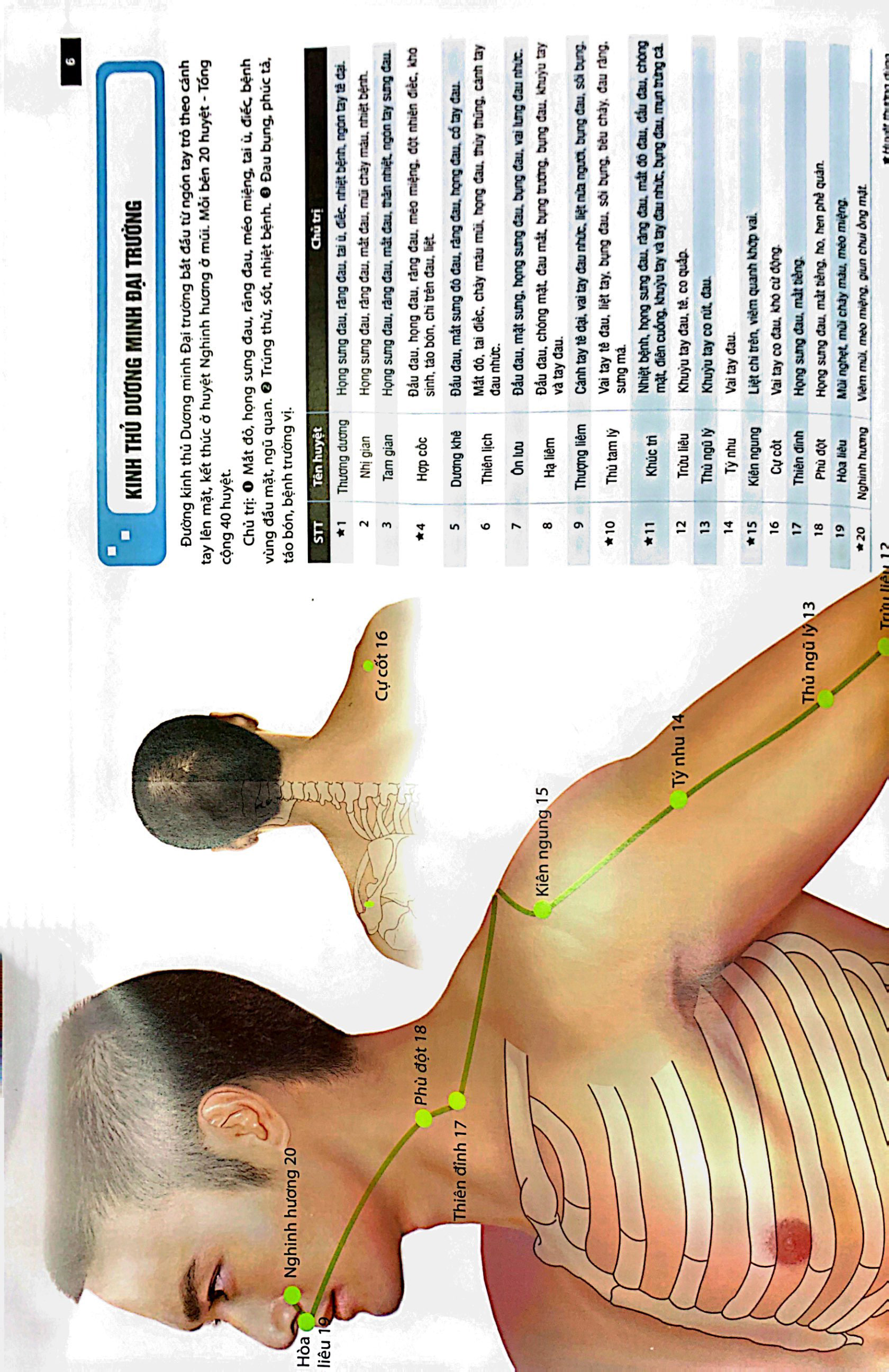 đồ giải kinh lạc huyệt vị - nam giới (tái bản 2023 ) - Ảnh 6