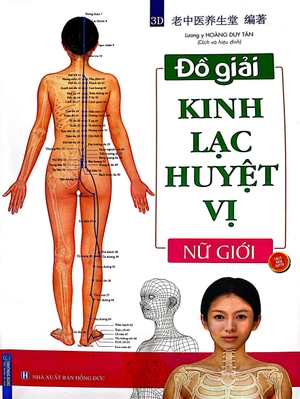 đồ giải kinh lạc huyệt vị - nữ giới - Ảnh 2