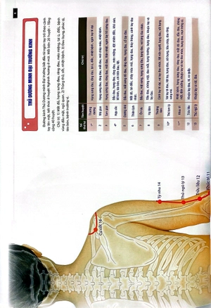 đồ giải kinh lạc huyệt vị - nữ giới - Ảnh 6