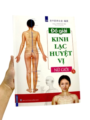 đồ giải kinh lạc huyệt vị - nữ giới - Ảnh 8