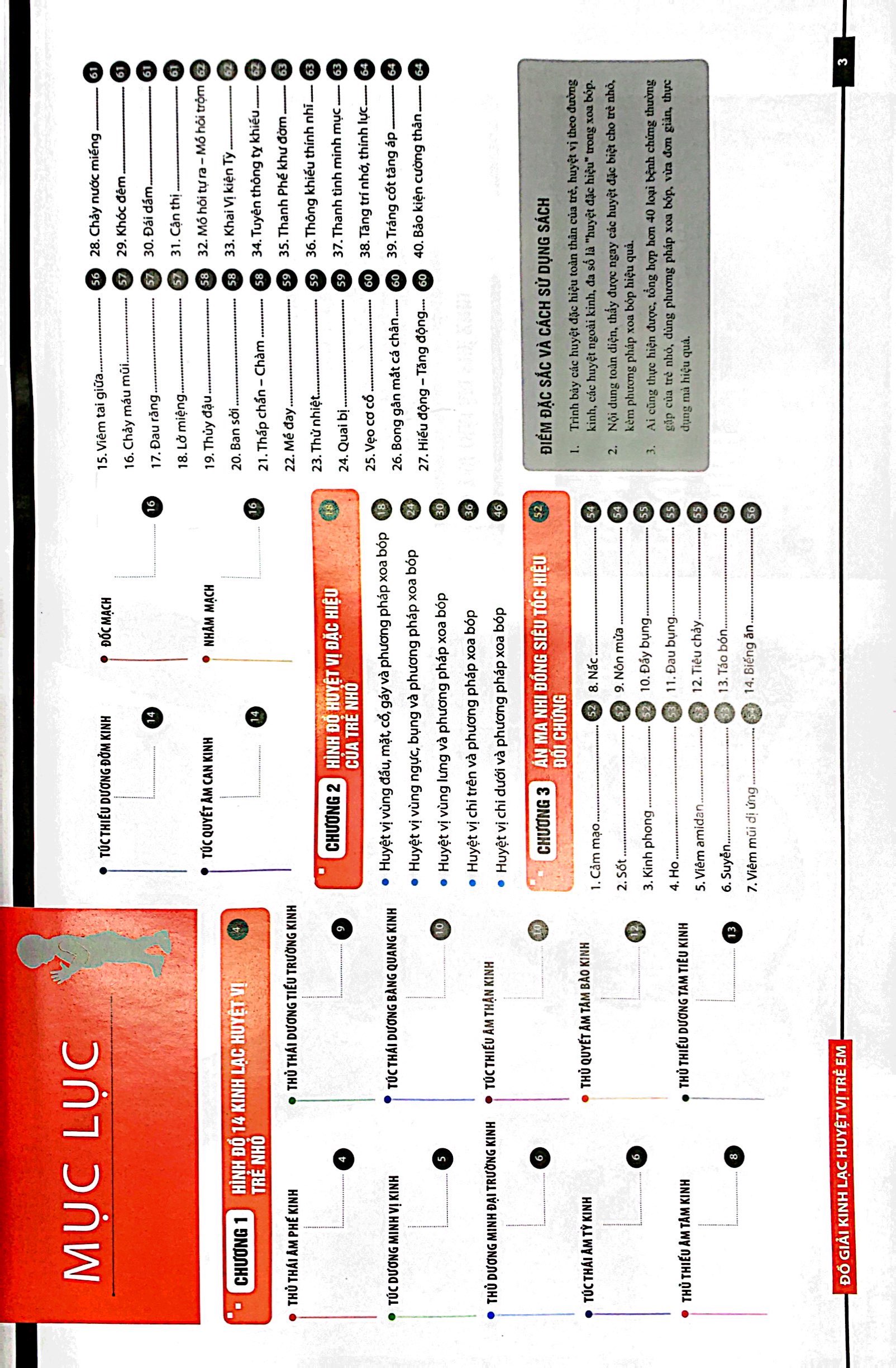 đồ giải kinh lạc huyệt vị - trẻ em - Ảnh 3