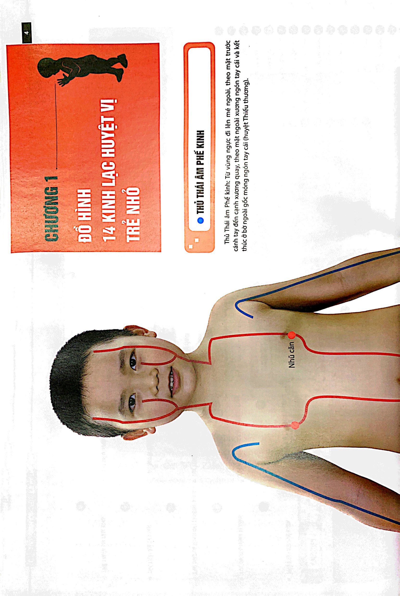 đồ giải kinh lạc huyệt vị - trẻ em - Ảnh 4