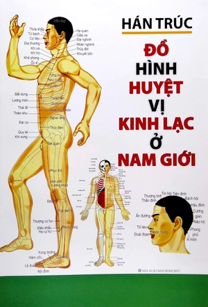 đồ hình huyệt vị kinh lạc ở nam giới - Ảnh 2