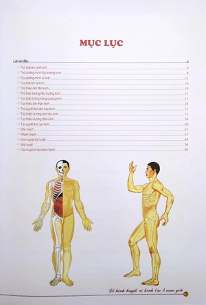 đồ hình huyệt vị kinh lạc ở nam giới - Ảnh 3