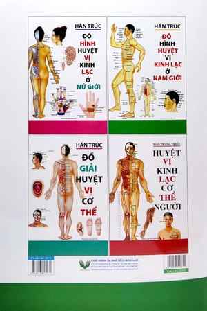 đồ hình huyệt vị kinh lạc ở nam giới - Ảnh 6