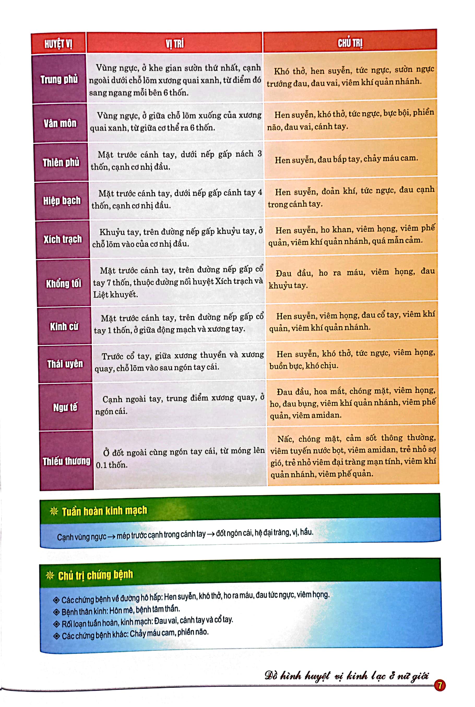 đồ hình huyệt vị kinh lạc ở nữ giới - Ảnh 5