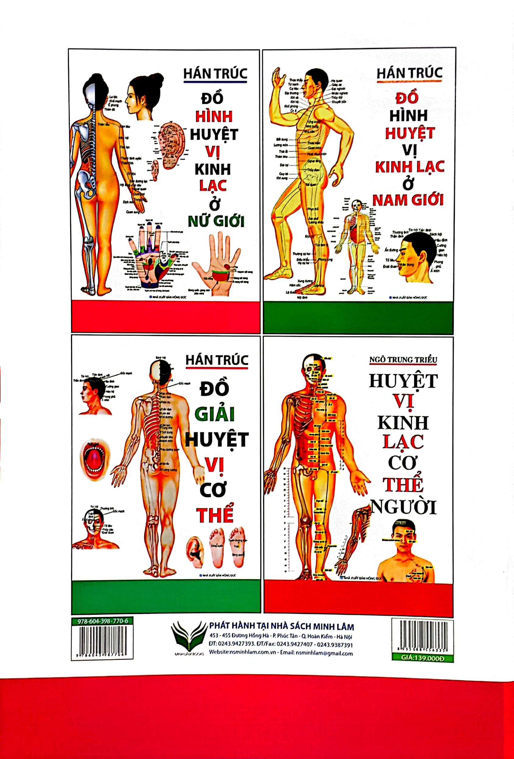 đồ hình huyệt vị kinh lạc ở nữ giới - Ảnh 7