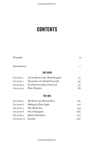 do not disturb: the story of a political murder and an african regime gone bad - Ảnh 11