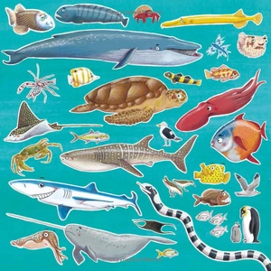 do you love oceans? - Ảnh 5