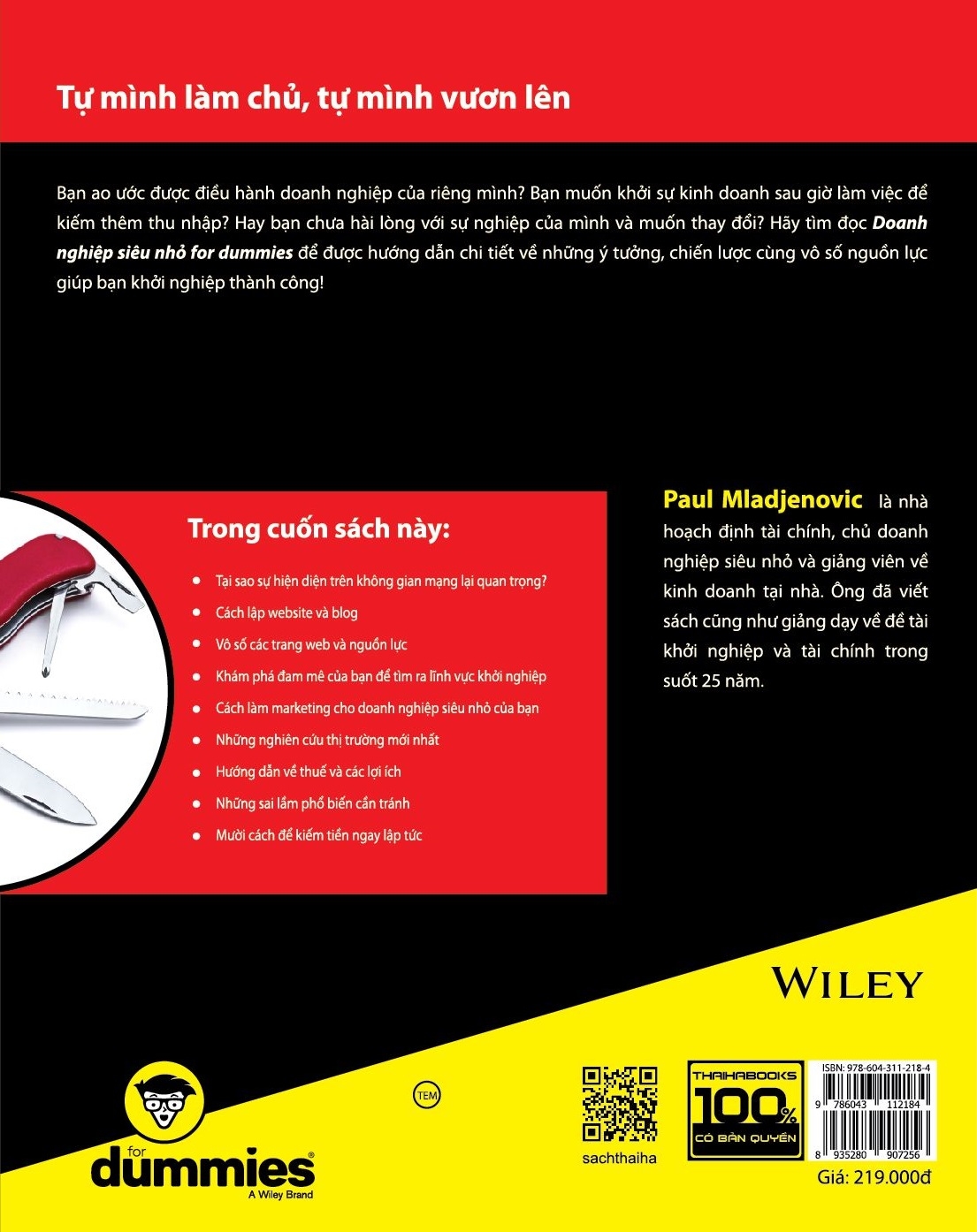 doanh nghiệp siêu nhỏ for dummies - Ảnh 3