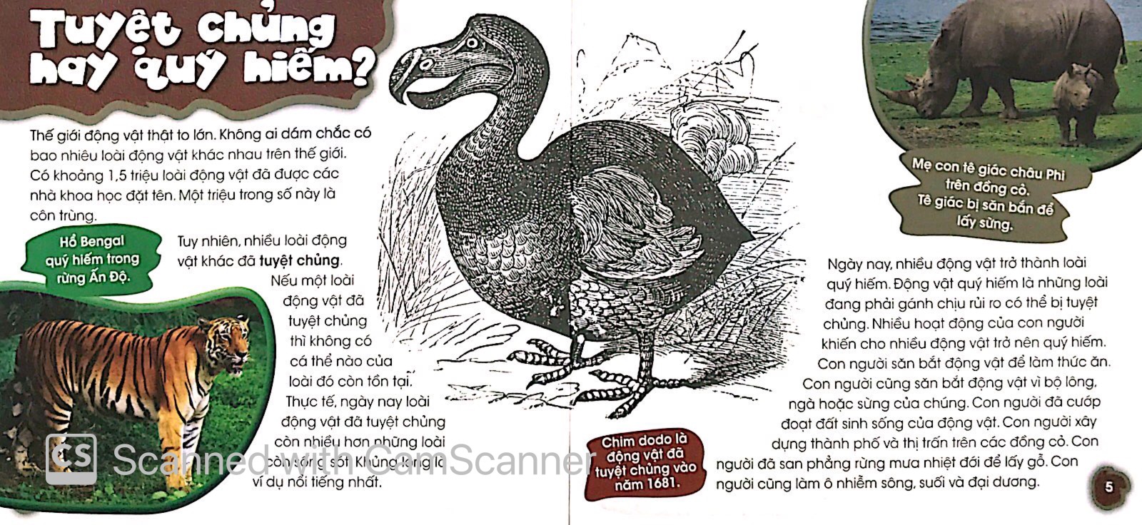 độc, lạ, phi thường - bên bờ tuyệt chủng - Ảnh 3