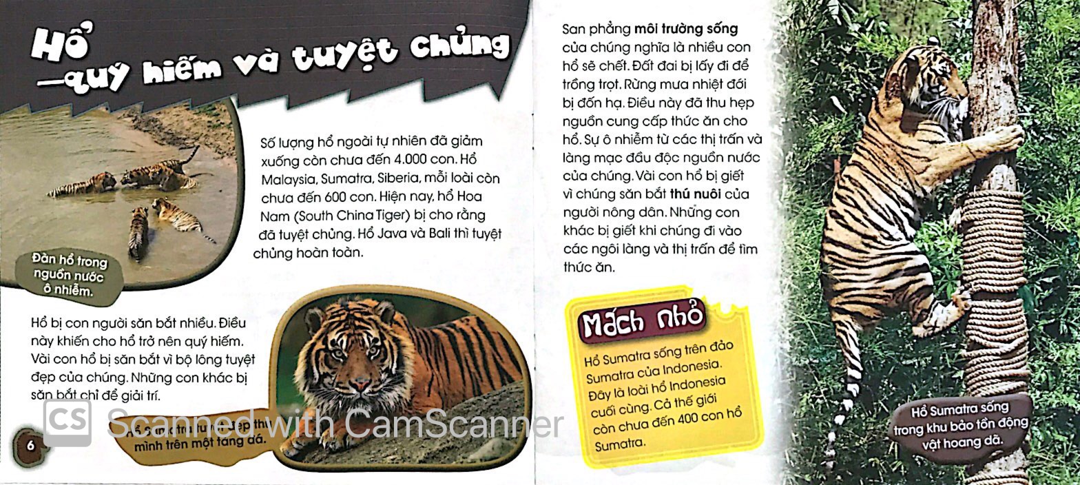 độc, lạ, phi thường - bên bờ tuyệt chủng - Ảnh 4