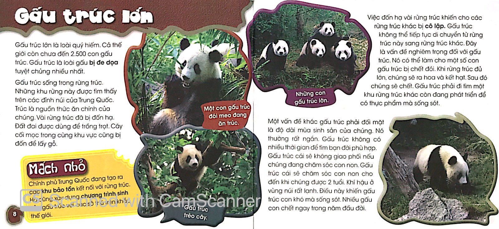 độc, lạ, phi thường - bên bờ tuyệt chủng - Ảnh 5