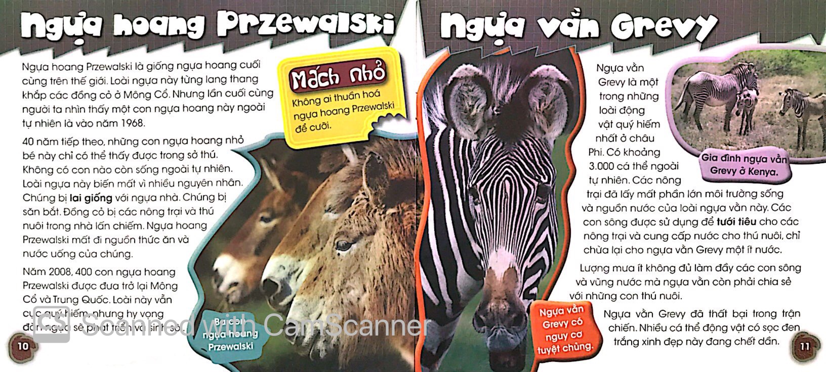 độc, lạ, phi thường - bên bờ tuyệt chủng - Ảnh 6