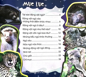 độc, lạ, phi thường - giấc ngủ muôn hình - Ảnh 2