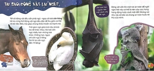 độc, lạ, phi thường - giấc ngủ muôn hình - Ảnh 3