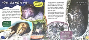 độc, lạ, phi thường - giấc ngủ muôn hình - Ảnh 5