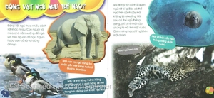 độc, lạ, phi thường - giấc ngủ muôn hình - Ảnh 6