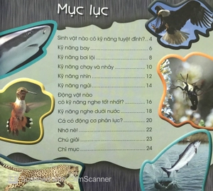 độc, lạ, phi thường - kỹ năng tuyệt đỉnh - Ảnh 3