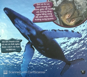 độc, lạ, phi thường - kỹ năng tuyệt đỉnh - Ảnh 5