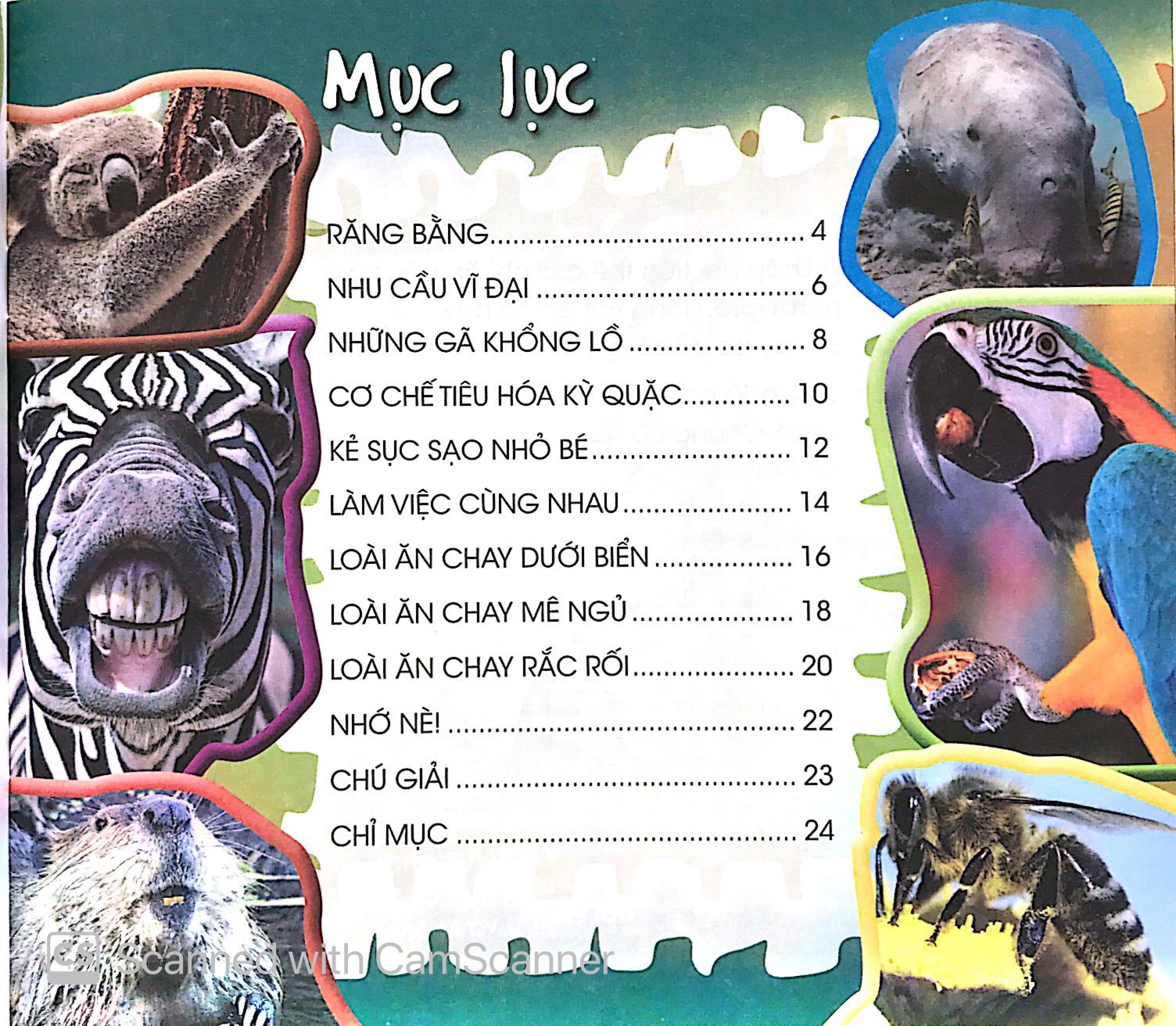 độc, lạ, phi thường - loài ăn chay - Ảnh 3