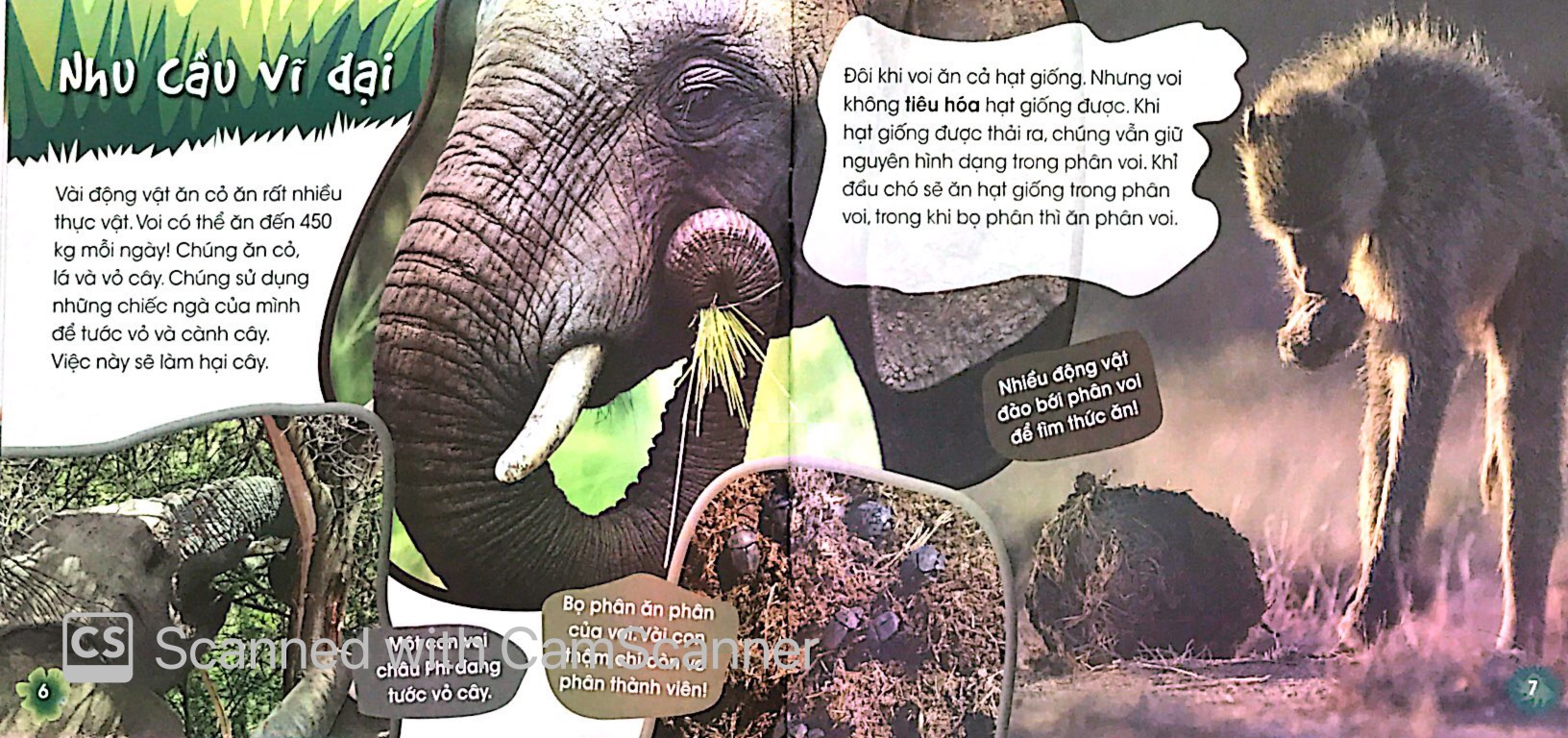 độc, lạ, phi thường - loài ăn chay - Ảnh 5